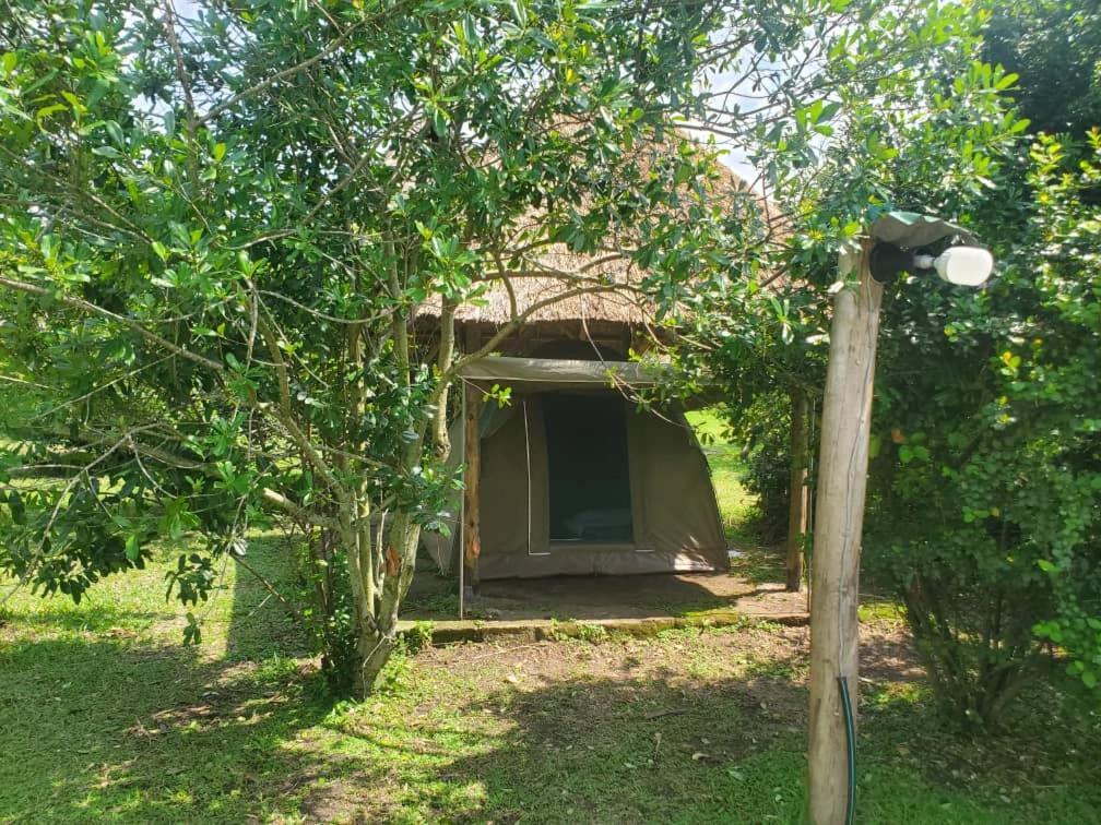 Engiri Game Lodge And Campsite Katunguru Exterior photo
