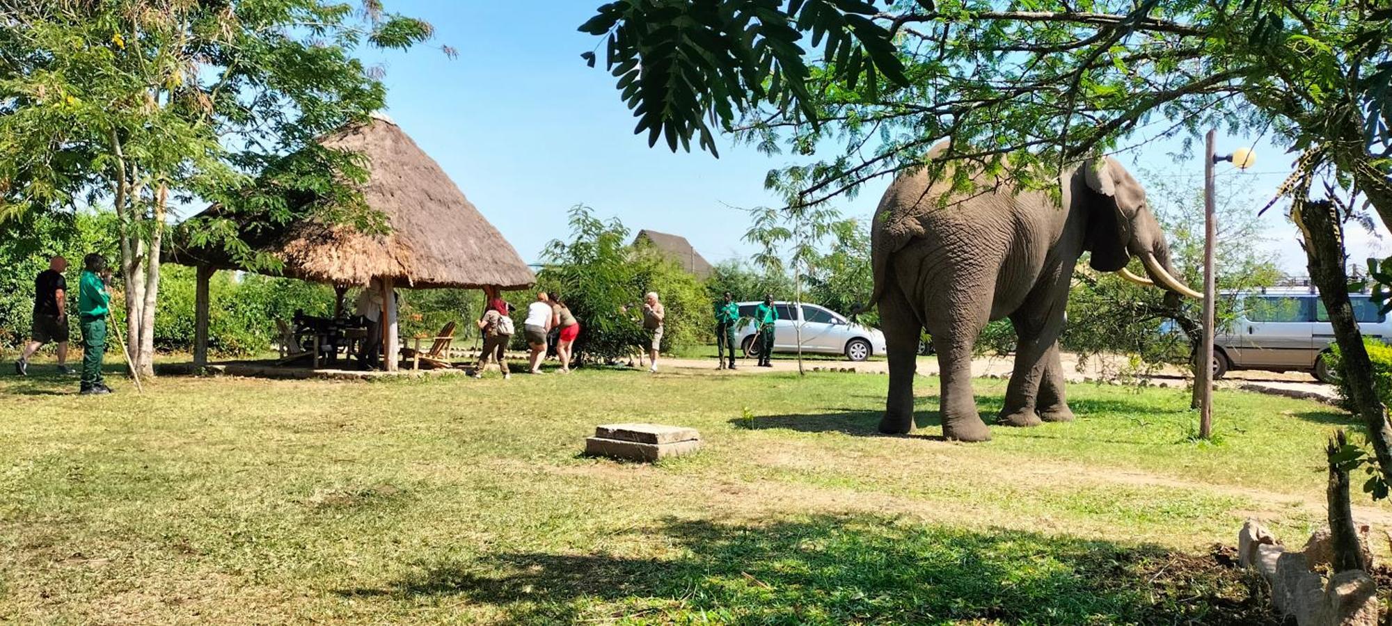 Engiri Game Lodge And Campsite Katunguru Exterior photo