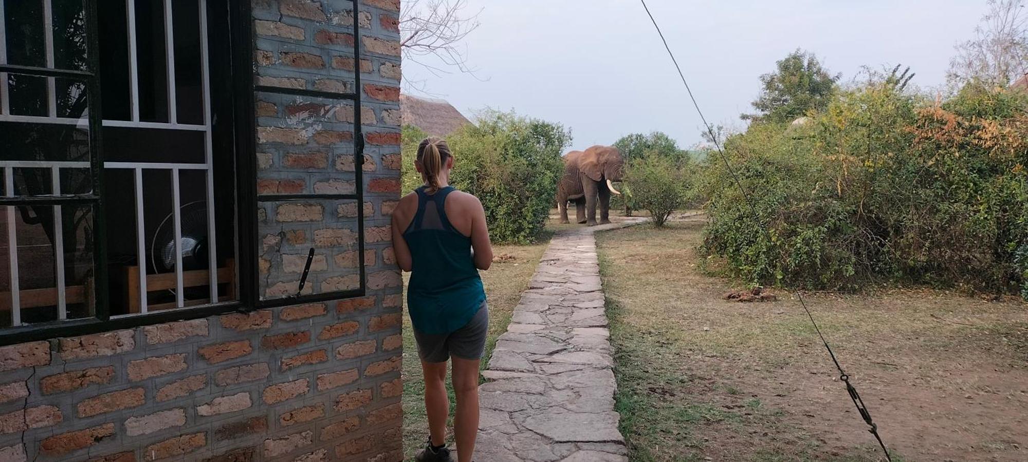 Engiri Game Lodge And Campsite Katunguru Exterior photo